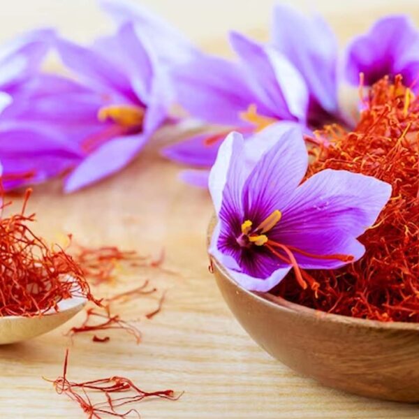 Saffron Super Nagin